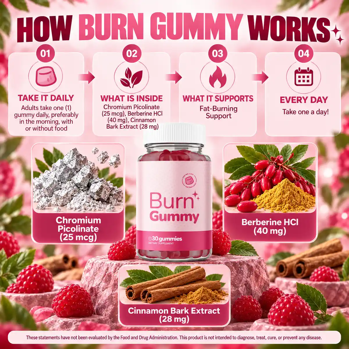 The Burn Gummy four-step panel showing the daily serving, what is inside and what the label supports