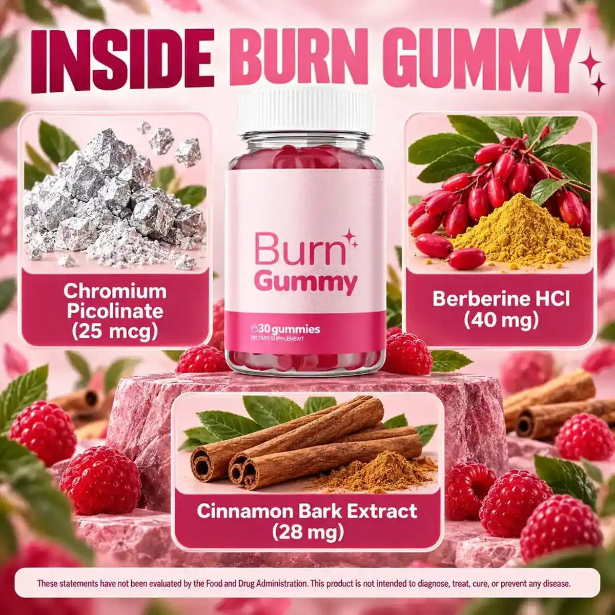 The Inside Burn Gummy listing panel naming chromium, berberine and cinnamon