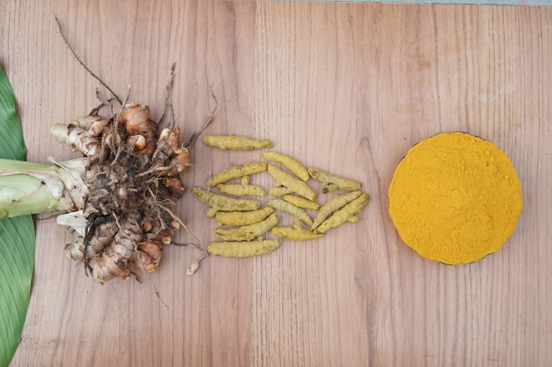 Barberry fruit beside the yellow powder berberine is extracted from