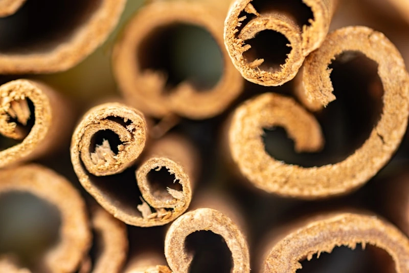 Cinnamon bark quills beside ground cinnamon powder